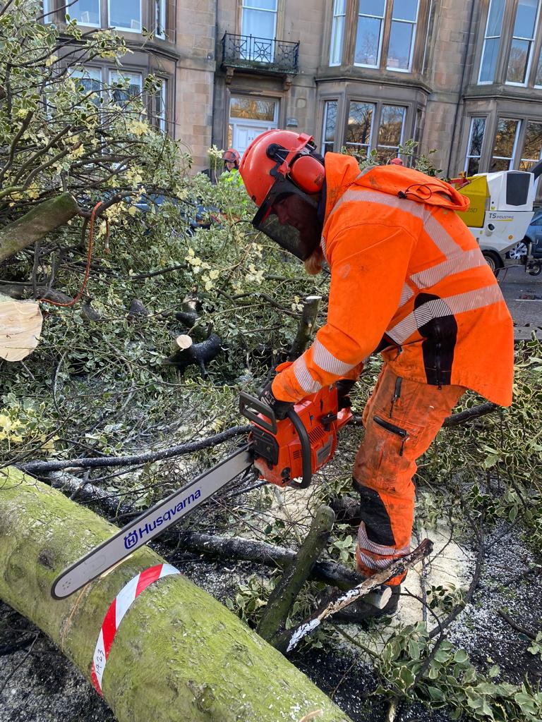 Edinburgh tree surgery services by JDS Trees, Click here for a quote and book  online