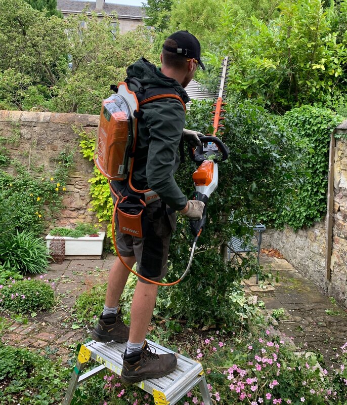 Hedge Trimming in Midlothian and  Edinburgh by JDS Trees Ltd