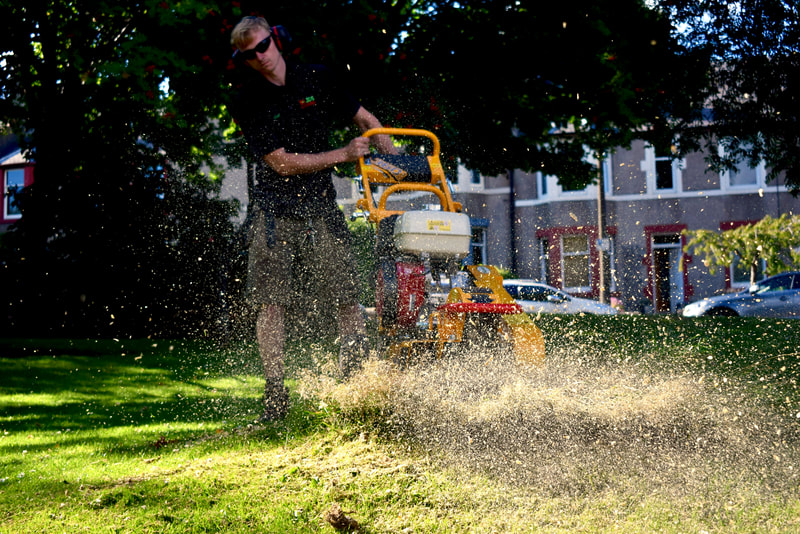 Edinburgh tree stump grinding contractor, JDS Trees, click here for a quote and book online