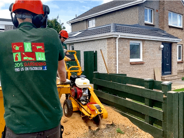 Tree stump removal in Edinburgh and Midlothian by JDS Trees, click here for prices and book online