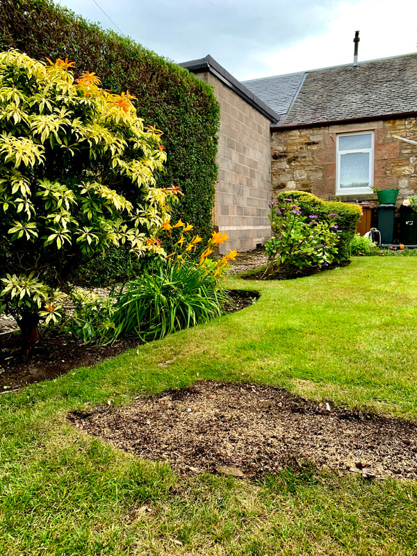 A recent tree stump removal job in Edinburgh by JDS Trees, click here for prices
