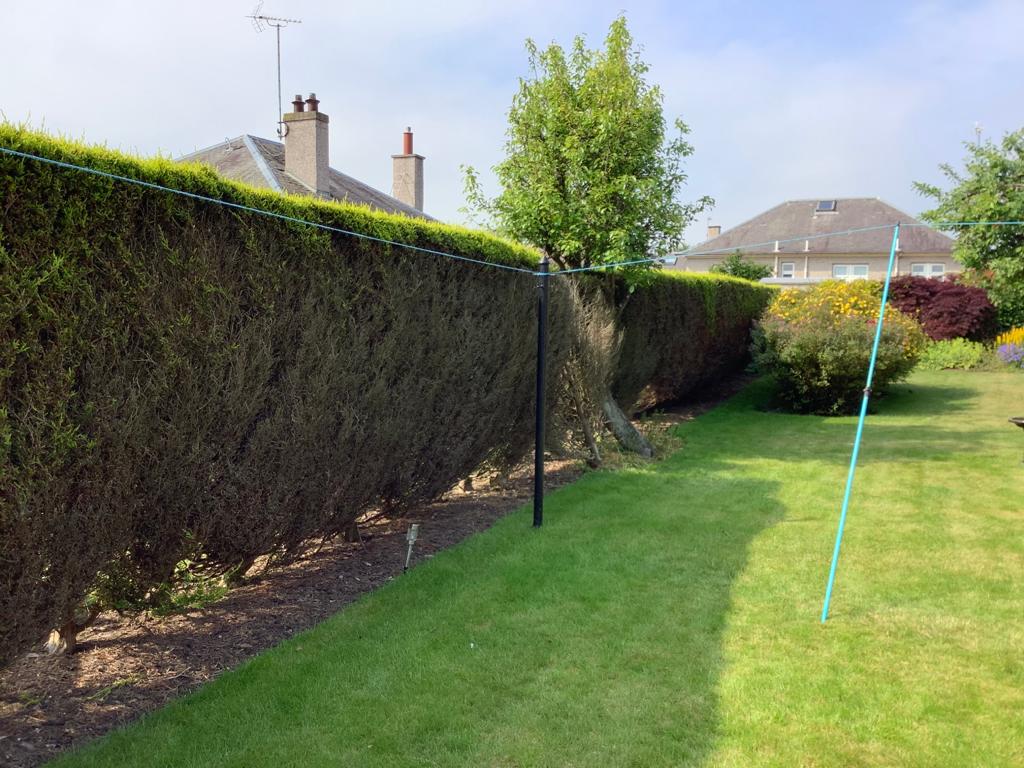 Garden hedge removal in Edinburgh and Midlothian