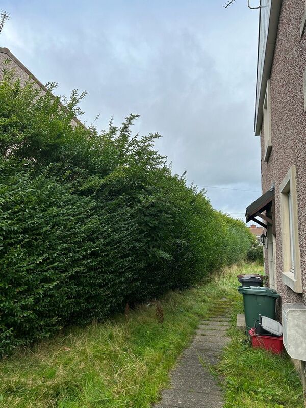 Does your Edinburgh garden need a tidy-up? click here for a garden hedge tidy-up quote in the Edinburgh area.