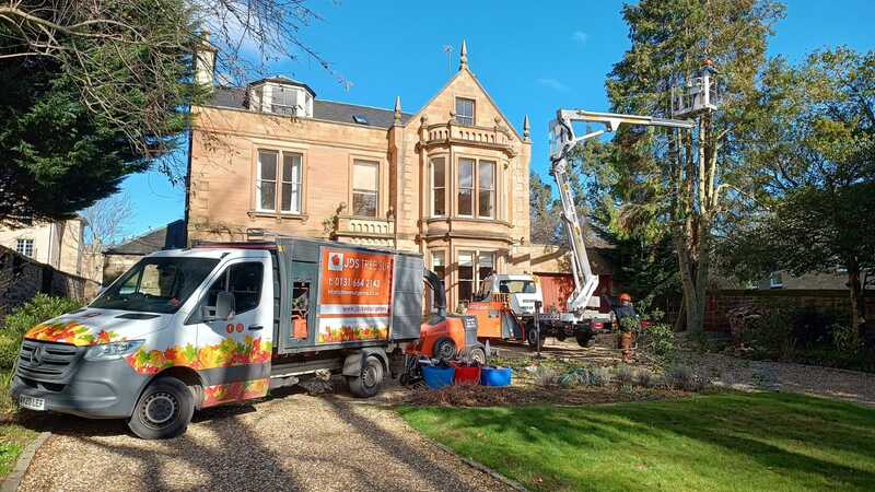 Tree crown reduction services in Edinburgh by JDS Trees, click here for a quote