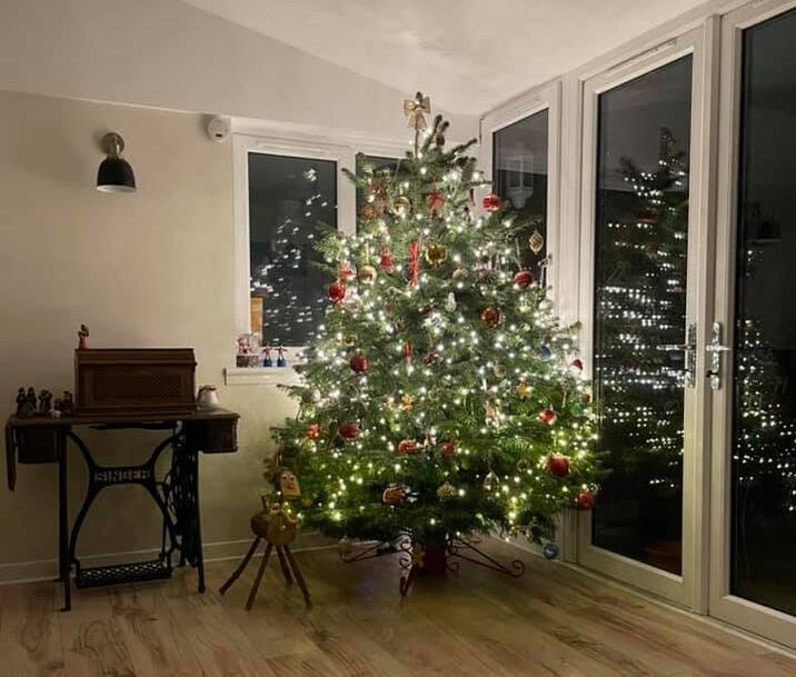 Order Real Christmas Tree Delivery in Edinburgh by JDS Trees Ltd, click here for 2023 Christmas Tree prices