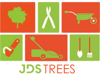 Tree Surgery Services in Edinburgh by JDS Trees Ltd