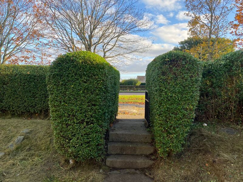 Does your Edinburgh garden need a tidy-up? click here for a garden hedges tidy-up quote in the Edinburgh area.