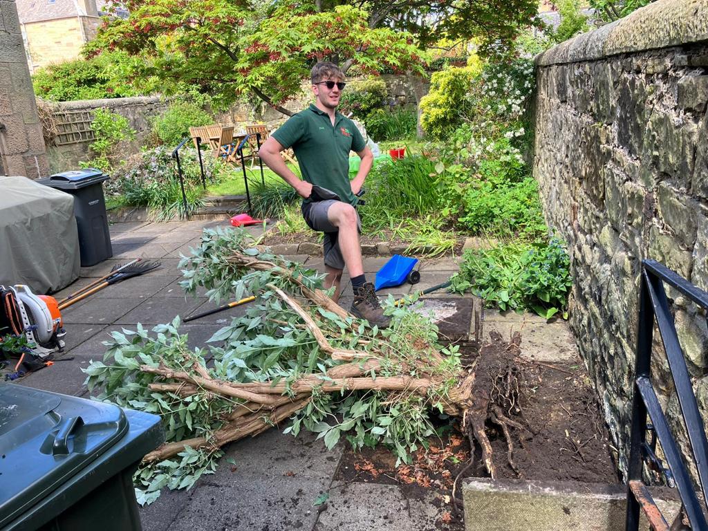 Garden bushes removed in Edinburgh by JDS Trees Ltd