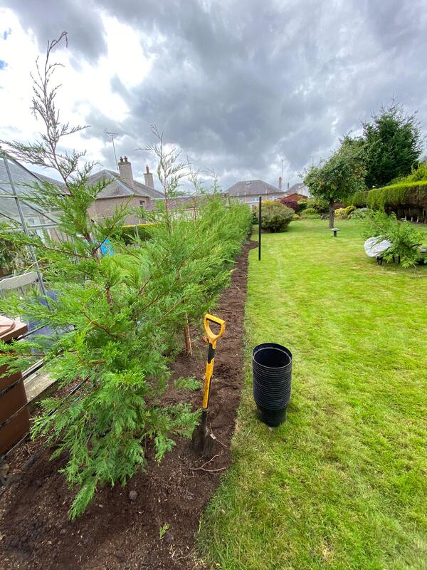 garden Tree planting in Edinburgh and Midlothian by JDS
