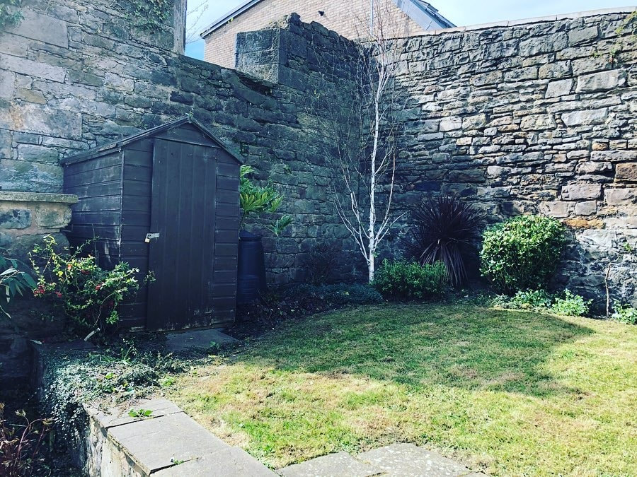 Wall ivy removal quotes Edinburgh