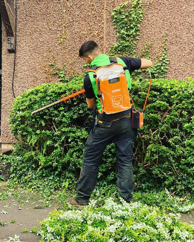 Hedge Trimming Quotes Edinburgh and Midlothian by JDS Trees Ltd