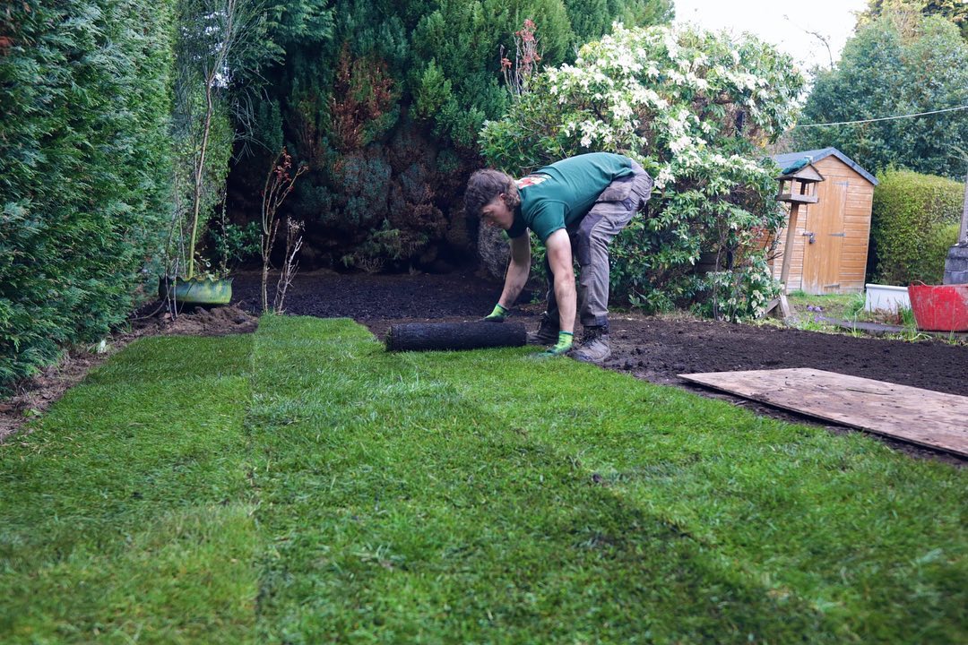 Do you need a lawn turf supplier and laying company in Edinburgh? click here for more information
