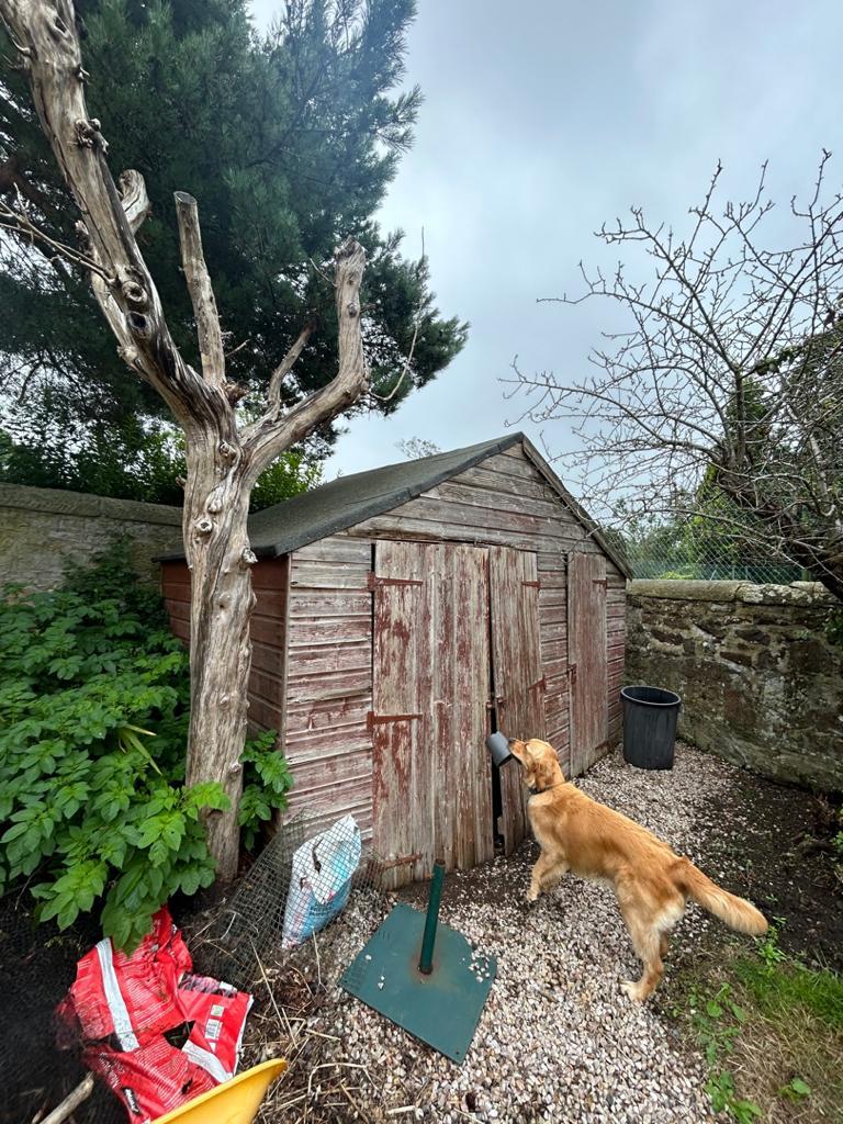Do you need an old timber shed removed and disposed off in Edinburgh? click and get a quote for shed removal in the Edinburgh area.