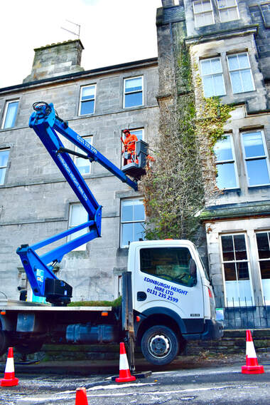 Wall ivy removal quotes in Edinburgh by JDS Trees Ltd