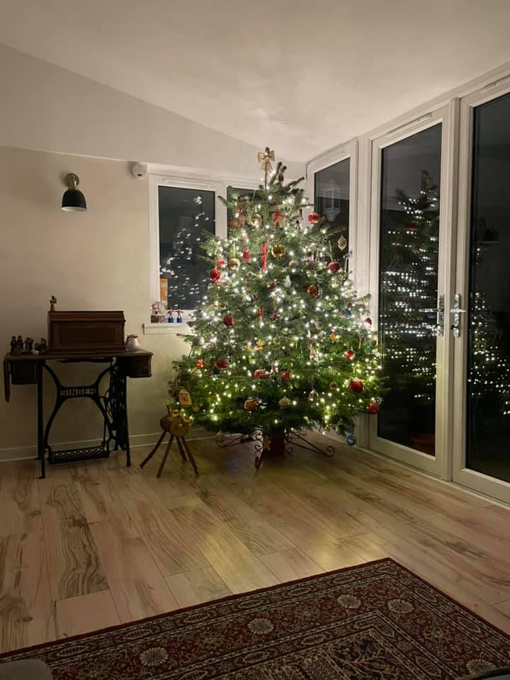 Real Christmas Tree delivery in Edinburgh, click here and order a real Christmas Tree online for delivery in the Edinburgh area