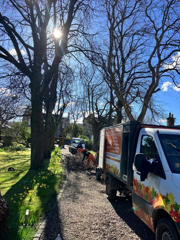 Edinburgh's number one tree surgery company, click here for an online tree surgery quote in the Edinburgh area from JDS Trees Ltd