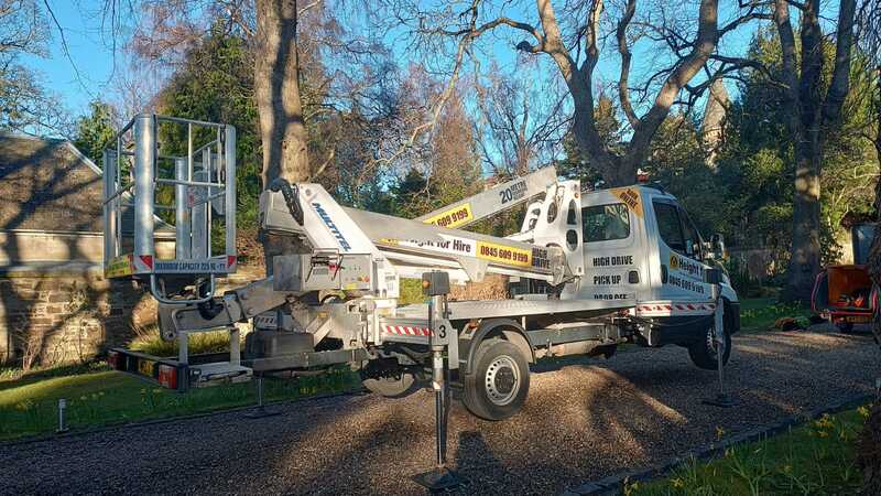 Tree crown thinning in Edinburgh by JDS Trees, click here and book online