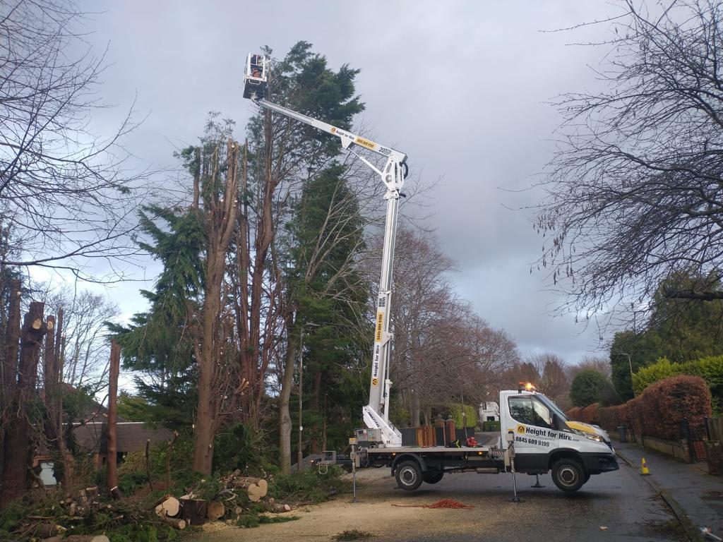 Tree height reduction company in Edinburgh, click here for prices
