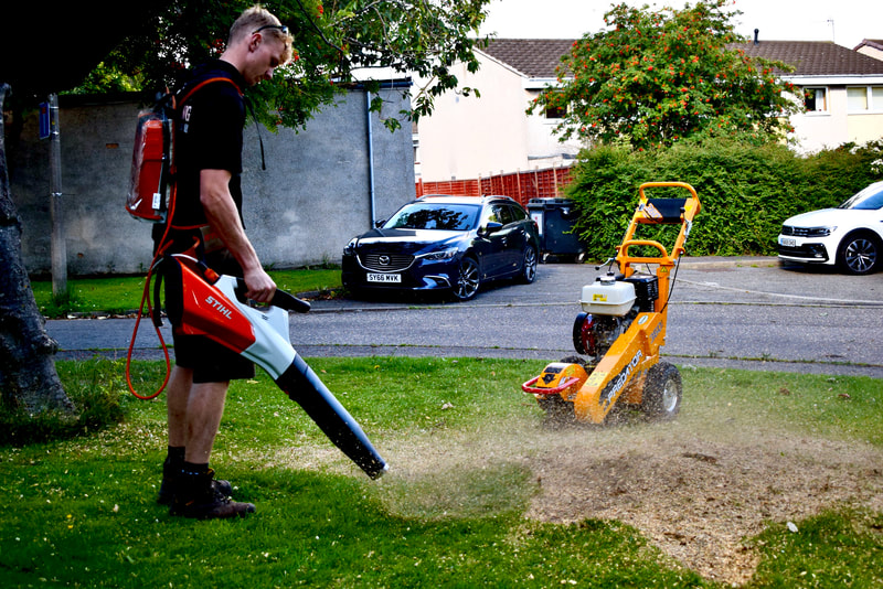 Tree stump grinding and removal services in Edinburgh