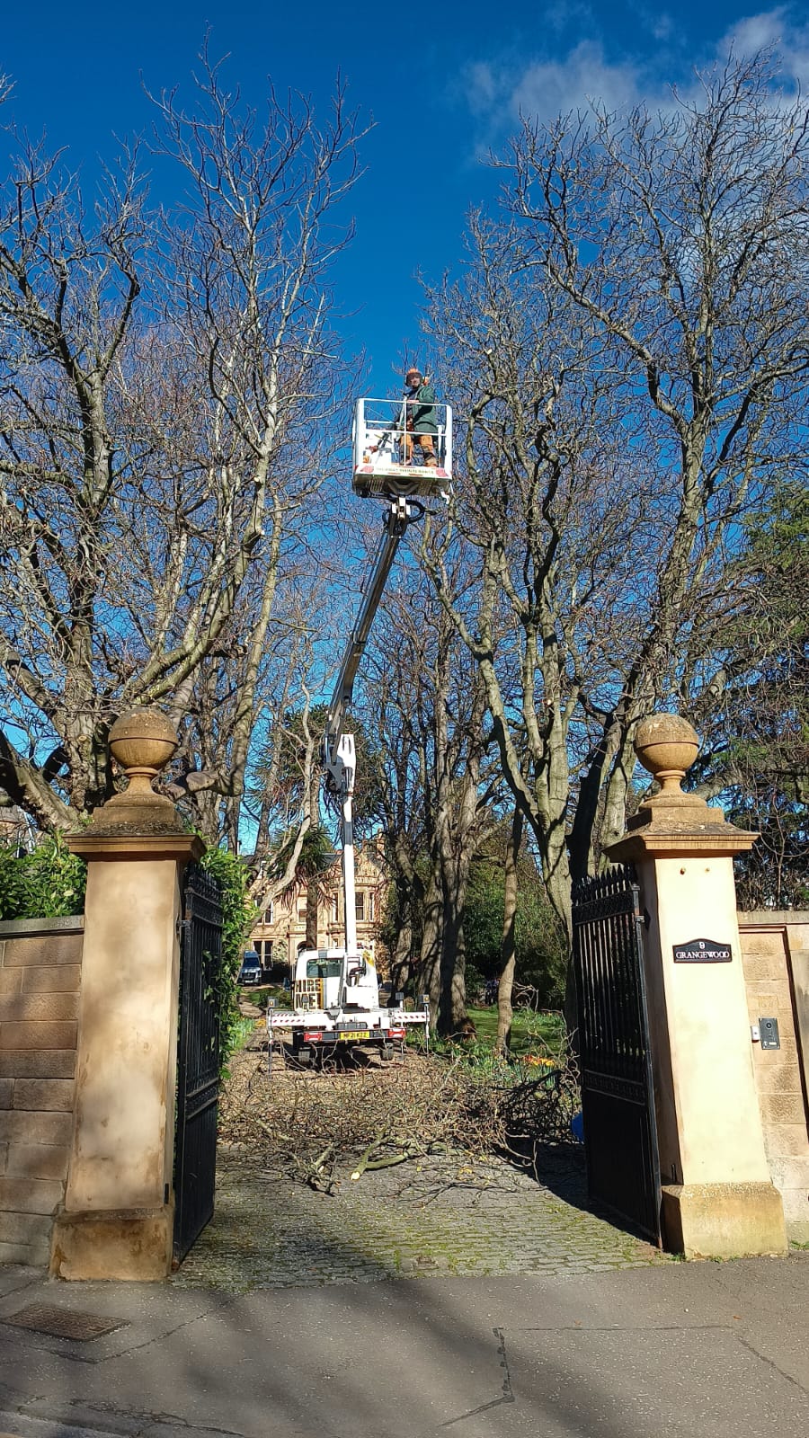 Do you need a tree surgeon in Edinburgh or Midlothian, click here for an Edinburgh Tree Surgeon quote from JDS Trees Ltd